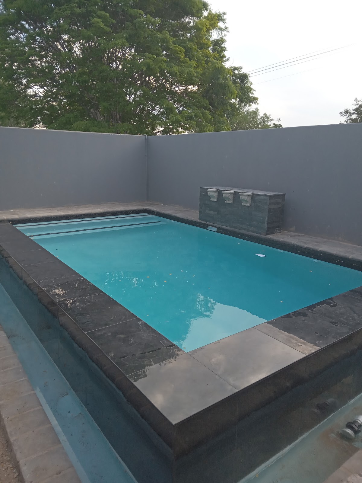 Pool Cleaning Project 17